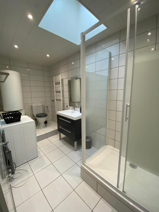 Les Cosy De Nancy - Mister Charles Sous Les Toits, Place Du Marche 4* Екстер'єр фото